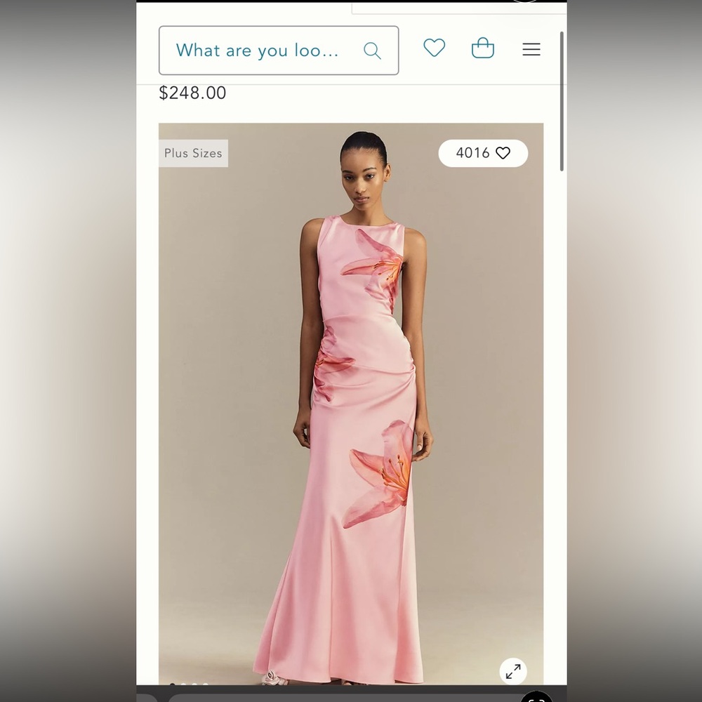 BHLDN Pink Floral Maxi Dress